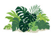 Tropical leaves collection. Vector isolated elements on the white background.	