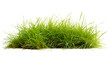 strip of green fresh grass side view, isolated on white background. generative ai