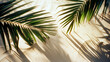 Sunny tropical sand beach with palm trees and shadows with empty space for text or product presentation. Hot summer sales concept.