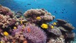 colorful reefs and fish