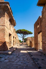 Wall Mural - Street view of ancient roman town at archaeological park in Italy