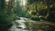 Fast flowing mountain stream in pine forest. Green vegetation along water floss. Picturesque nature landscape. Wet gray boulders. Close-up. Calm relaxing and pleasant walk in coniferous woodland. 