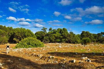 Wall Mural - Unrecognisable hiker walking on a rocky plain, surrounded by tall trees, in Yalgorup National Park, close to Perth in Western Australia
