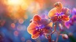 Orchid flower close-up, bathed in sunset light, vibrant colors against a dreamy bokeh, ethereal fog