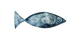 Fototapeta Dziecięca - Watercolor hand drawn blue fish isolated on white background