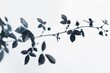A close-up photo of a branch with leaves, perfect for nature themes