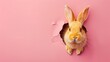 Cute fluffy rabbit on pink background. Generative AI