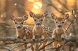 deer Baby group of animals hanging out on a branch, cute, smiling, adorable