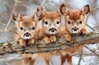deer Baby group of animals hanging out on a branch, cute, smiling, adorable