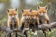 Fox Baby group of animals hanging out on a branch, cute, smiling, adorable