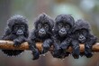 Gorilla Baby group of animals hanging out on a branch, cute, smiling, adorable