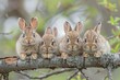 Hare Baby group of animals hanging out on a branch, cute, smiling, adorable