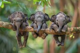 Fototapeta  - Elephant Baby group of animals hanging out on a branch, cute, smiling, adorable