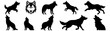 Wolf  silhouette set vector design big pack of illustration and icon