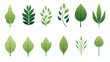 Logos of green Tree leaf ecology nature element vect