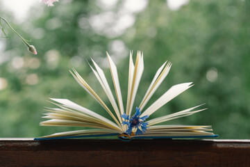 An open book on a rustic wooden table with nature in the background