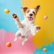 Happy dog jumping and catching a treat on pastel background 