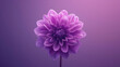 A close-up view of a vibrant purple flower standing out against a lush purple background, creating a visually striking contrast --ar 16:9 --stylize 250 Job ID: db52d24b-3d92-4bec-8487-1fdbfc0bf48c