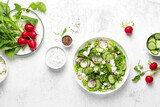 Fototapeta Tematy - Radish and cucumber fresh green leafy vegetable salad with romaine lettuce, cottage cheese and yogurt, top view
