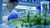 Fototapeta Natura - A modern pharmaceutical research laboratory with focus on cannabis plant analysis, filled with scientific equipment