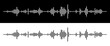 © ec0de - Waves of the Digital Equalizer Isolated on Black and White Backgrounds. Digital Sound EQ Vector Illustration. Voice Assistant Soundwave. AI Assistant Voice Generation or Recognition Concept.