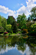ogród japoński drzewa i kwitnące różaneczniki, ogród japoński nad wodą, japanese garden blooming rhododendrons and azaleas, Rhododendron	