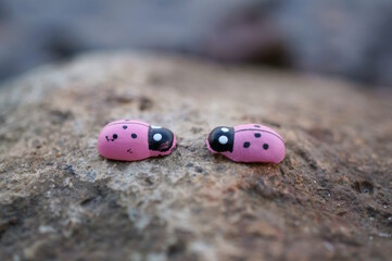 Wall Mural - Two purple ladybugs on the river bank. Romantic mood. Valentine's Day. Evening twilight.