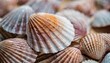 blurred mixture of scallop seashell and dusty rose color gradient background
