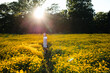 © Maria Manco/Stocksy - Preteen smiles at camera in wildflower field