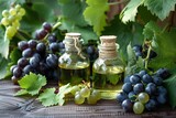 Fototapeta Młodzieżowe - Cosmetic essence from grape seeds, bottles with essence next to leaves and bunches of grapes
