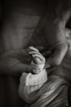 Monochrome Image Of Newborn And Parents Hands