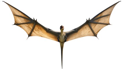 Wall Mural - clipart vector illustration of a flying dinosaur, pterodactyl.