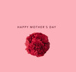 Spray carnations bouquet in red, top view, background pink, text:happy mother's day