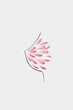 © Yaroslav Danylchenko/Stocksy - Pink flower petals neatly arranged on hand drawn female breast