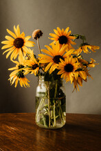 Sunflowers Main.