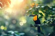 Colorful toucan bird perched on a branch in a lush green forest setting.