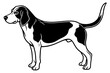 beagle dog vector illustration