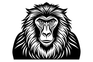 baboon vector illustration