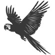 Silhouette Parrot Animal fly black color only full body