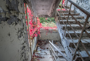 Wall Mural - Staircase in Jupiter factory in Pripyat ghost city in Chernobyl Exclusion Zone in Ukraine