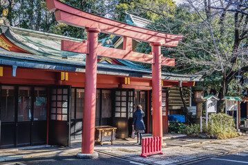 Wall Mural - Torii gate in Hie Shrine, shinto shrine in Tokyo capital city, Japan