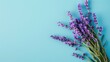 Aromatherapy purple lavender bouquet flower isolated on blue background. AI generated image