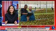 © DC Studio - Woman presenter doing news reportage on agriculture business, presenting local farmer working in own greenhouse to make natural organic produce. Journalist broadcast world news.