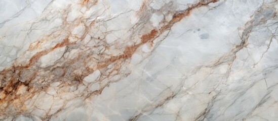 Poster - A detailed shot capturing the elegance of a white marble slab with a distinctive brown stripe running through it, showcasing the beauty of natural materials in art during the cold winter season