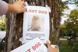 © Danil Nevsky/Stocksy - Crop owner hanging poster of missing dog on trunk
