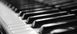 © Ilja - Detailed monochrome close up of a striking black and white piano keyboard in an artistic composition