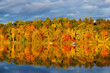 © Paul Tessier/Stocksy - Autumn Foliage with Reflection