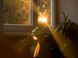 © Sonja Lekovic/Stocksy - Indoor window view of the sunset