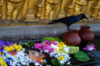 Flower and food offerings for Buddha, Kelaniya Temple - Kelaniya Raja Maha Viharaya, Sri Lanka
