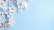 © pjdesign - spring nature background with lovely blossom in blue pastel background